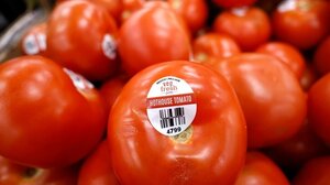 ΗΠΑ: Τελωνειακοί δασμοί 17% στις εισαγόμενες μεξικανικές τομάτες