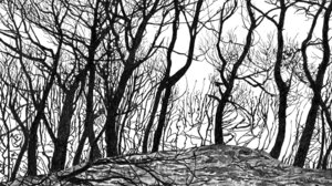 Έκθεση «Μεταξύ Φωτός και Σκιάς: Τέχνη για ένα Βιώσιμο Μέλλον» 