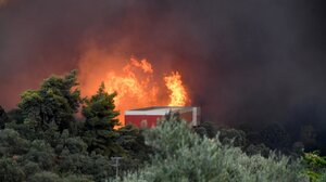 Αντιπεριφερειάρχης Υγείας Δυτικής Ελλάδας: Κίνδυνος μόλυνσης στο νερό από τη φωτιά