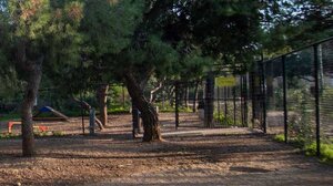 Κλειστό το Άλσος Χωροφυλακής μέχρι νεωτέρας