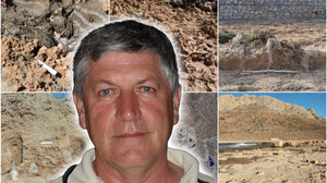 Απολιθωμένο δάσος Χανίων: Μία σπουδαία παλαιοντολογική ανακάλυψη!