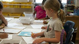 Δημογραφική "βόμβα" στην εκπαίδευση – Τι δείχνουν τα στοιχεία για το Ηράκλειο