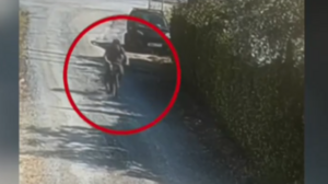 Βίντεο - ντοκουμέντο: Η στιγμή που ο 62χρονος φερόμενος εμπρηστής απομακρύνεται από το σημείο της φωτιάς στην Κάντζα