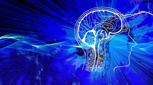 Χάρτης 600.000 εγκεφαλικών κυττάρων αλλάζει όσα ξέραμε για τον εγκέφαλο