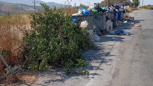 "Μέχρι πότε θα ζούμε μέσα στα σκουπίδια στη Φοινικιά;"