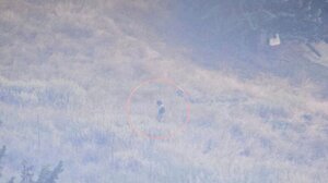 Φωτογραφίες ντοκουμέντα για τους εμπρησμούς στην Πάτρα 