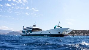 Ζημιά στο αυτοκίνητο μέσα στο φέρι; Τι καλύπτει η ασφάλεια και πότε δικαιούσαι αποζημίωση