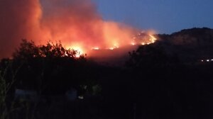 Πλεύρης: Εκκενώθηκε η δομή φιλοξενίας αιτούντων άσυλο στη Φιλιππιάδα, λόγω της φωτιάς 