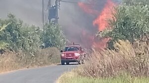 Φωτιά στην Ανθούσα Μεσσηνίας: Ήχησε το 112 για απομάκρυνση κατοίκων