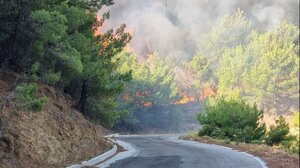 Πυρκαγίες: Μέσα σε 9 χρόνια έχει καεί το 22% της Χίου