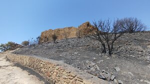 Αυτοψίες για καταγραφή ζημιών από τις πυρκαγιές σε Χίο και Ζάκυνθο