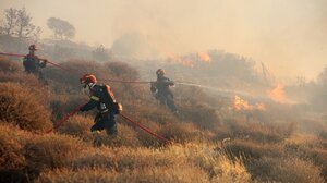 Φωτιά τώρα σε δασική έκταση στην Φθιώτιδα