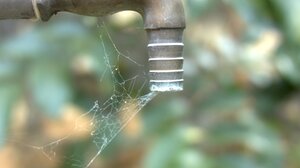 Λειψυδρία: 9 δήμοι της Κρήτης ζητούν να κηρυχτούν σε κατάσταση εκτάκτου ανάγκης