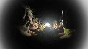 «Μάτια στο σκοτάδι»: ο μύθος του λευκού βαν και ο «κακός λύκος» της …αγίας ελληνικής οικογένειας