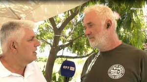 Έβρος: 150 άγρια άλογα βρίσκονται αποκλεισμένα χωρίς νερό σε νησίδα του Έβρου