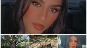 Μητέρα σκοτώθηκε από πτώση κλαδιού αλλά πρόλαβε και έσωσε την 5χρονη κόρη της