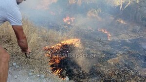 Φθιώτιδα: Επικίνδυνη πυρκαγιά στη Γλύφα