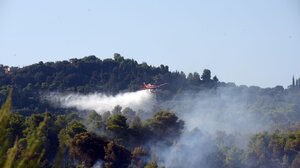 Πύρινη κόλαση στην Αρχαία Ολυμπία: Φωτιά "καταπίνει" χωριά - Τρεις τραυματίες
