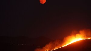 Πυρκαγιά στην Κερατέα: Οι φλόγες "έτρεξαν" 11 χλμ. σε 12 ώρες - Τι έδειξαν οι δορυφόροι