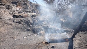 Φωτιές σε Κρυονέρι-Μεσσηνία-Κρήτη-Κύθηρα: Τι έδειξαν οι αυτοψίες στα καμένα σπίτια
