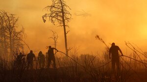 Μεγάλη φωτιά στην Κερατέα: Σε απόσταση αναπνοής οι φλόγες από τα σπίτια