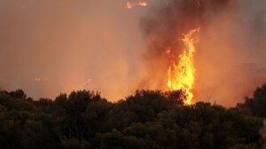 Πυρκαγιά στην Κερατέα: Συγκλονιστικά πλάνα της ΕΛΑΣ από τους απεγκλωβισμούς