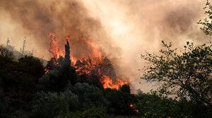 Φωτιά στην Κερατέα: Επιχειρούν ισχυρά επίγεια και εναέρια μέσα - Ήχησε το 112