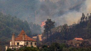 Ρεκόρ καταστροφής στην Πορτογαλία: Δασική πυρκαγιά καίει πάνω από 640.000 στρέμματα!