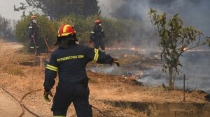 Μάχη με τις φλόγες σε Διαβολογέφυρο και Μελιγαλά - Σε ύφεση τα πύρινα μέτωπα