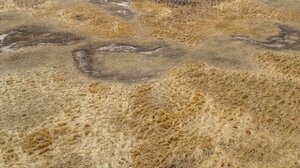 Ρουμανία: Στέρεψαν τα πηγάδια στις νοτιοδυτικές επαρχίες λόγω καύσωνα και ξηρασίας