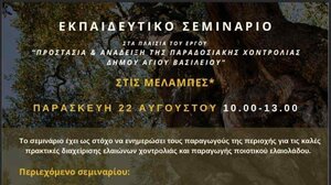 "Προστασία και ανάδειξη της παραδοσιακής χοντρολιάς του Δήμου Αγίου Βασιλείου"