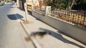 Κίσσαμος Χανίων: Παρέσυρε με το ΙΧ της και σκότωσε σκυλί - Έφυγε ανενόχλητη!