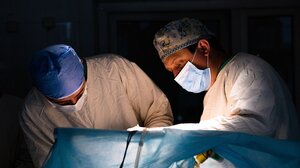 Γεγονός η πρώτη πειραματική μεταμόσχευση πνεύμονα από χοίρο σε άνθρωπο