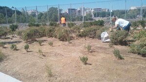 Ηράκλειο: Καλλωπισμός και συντήρηση των χώρων πρασίνου σε όλα τα σχολεία του Δήμου 