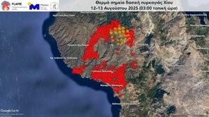 Δορυφορικές εικόνες: 100.000 στρέμματα στο έλεος των πυρκαγιών μέσα σε 2 μέρες
