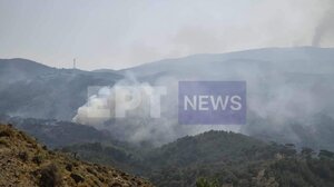 Φωτιά— Χίος: Συνεχίζεται η επιχείρηση πυρόσβεσης βόρεια της Σπαρτούντας – Μάχη με τις αναζωπυρώσεις