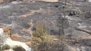 Φωτιά στην Χίο: Αποκαρδιωτικό βίντεο από drone αποκαλύπτει το μέγεθος της καταστροφής μετά το πέρασμα της φωτιάς