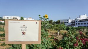 Metaxa Hospitality Group: Ο πρώτος Όμιλος φιλοξενίας στην Ελλάδα με πιστοποιημένες βιολογικές-αναγεννητικές γαίες από τη Δ.Η.Ω.