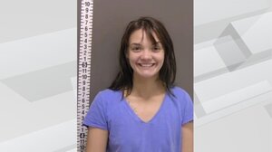 Επιτέθηκε στον σύντροφό της με τσεκούρι την ώρα που κοιμόταν