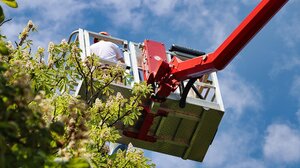 Ρέθυμνο: Καθαρίζουν δημοτικούς και αγροτικούς δρόμους από την άγρια βλάστηση