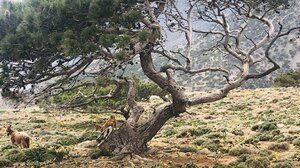 Νέα δίκη για παράνομες επιδοτήσεις και κατηγορούμενους Κρητικούς- Τι προτείνει ο εισαγγελέας 