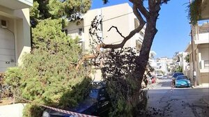 Ηράκλειο: Ένα μεγάλο τμήμα από δέντρο "προσγειώθηκε" σε αυτοκίνητο στον Μασταμπά