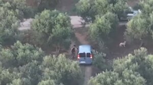 Εγκληματική οργάνωση: Η δράση μελών της μαφίας της Κρήτης από… ψηλά (βίντεο)