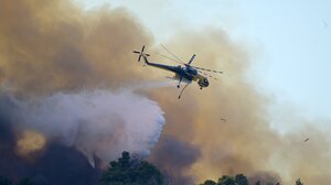 Αρχαία Ολυμπία: Φωτιά σε ορεινή δασική έκταση