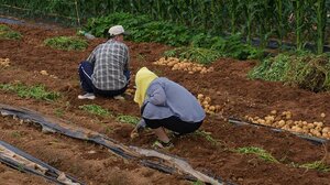 Μεταναστευτικό: Στην αγορά εργασίας όσοι λαμβάνουν άσυλο