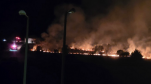 Λάρισα: Φωτιά κοντά στο Νέο Κοιμητήριο και τις φυλακές