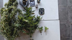 "Μπαράζ" συλλήψεων να ναρκωτικά στην Κρήτη