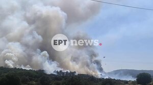 Φωτιά τώρα στην Λέσβο: Δύο εστίες στη Βρίσα – Μήνυμα του 112