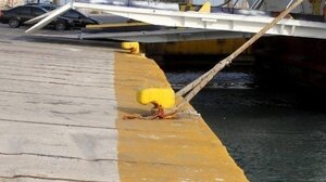 Ισχυροί άνεμοι «δένουν» τα πλοία - Απαγορευτικό από Πειραιά και Ραφήνα για Κυκλάδες