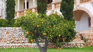 Σοκ στο Λάνθι – Άνδρας βρέθηκε νεκρός στο κτήμα του